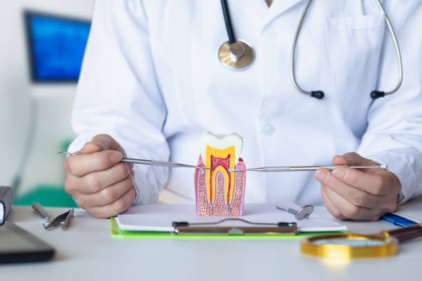 Best Emergency Broken Tooth Repair in South Yarmouth, MA